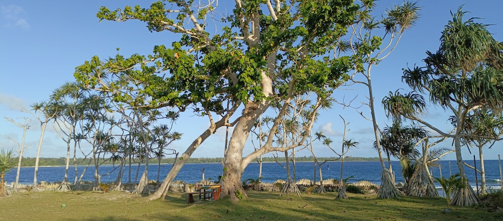 Bluepango Guest House - Hostel