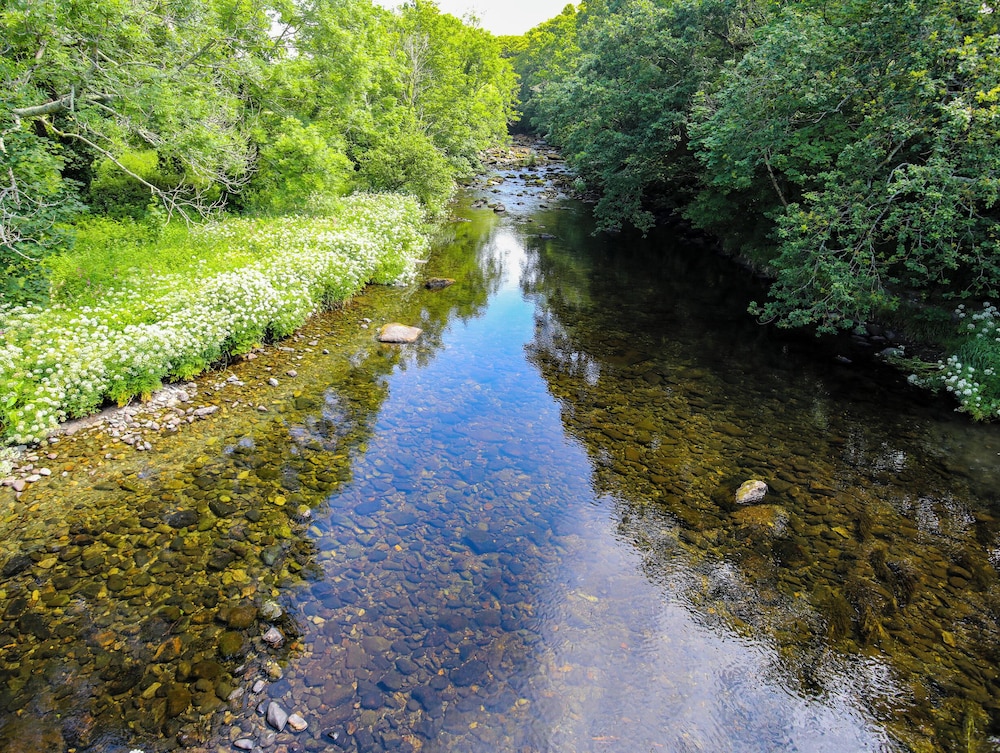 Llwyn Onn