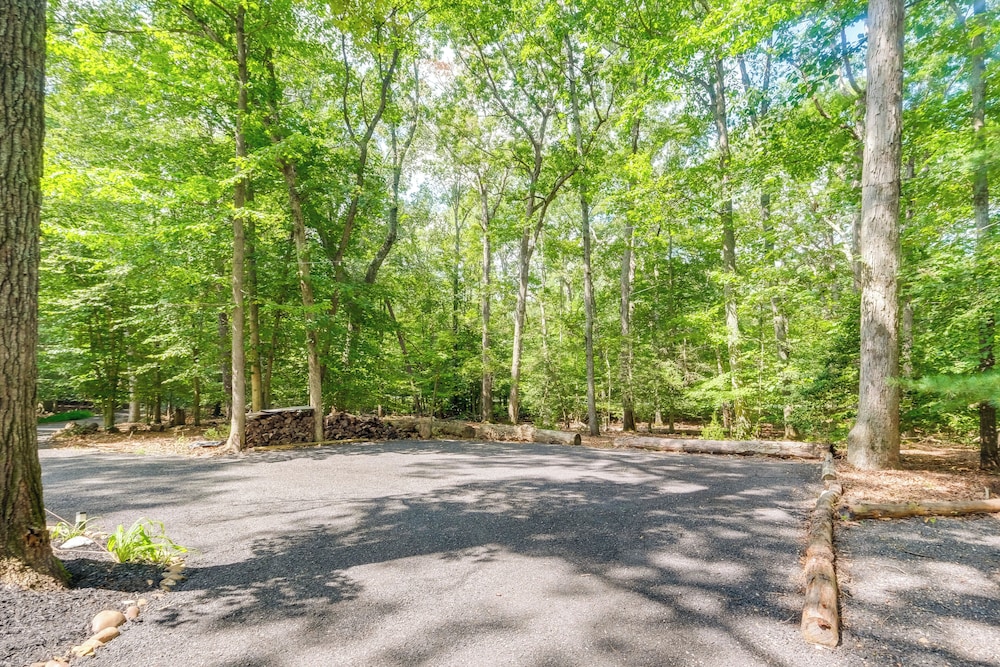 1/2 Acre Pond, Rec Room! Private Oasis in Nanjemoy