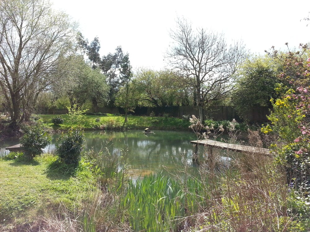 Photo 29