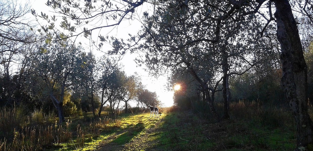 Dimora il Prato