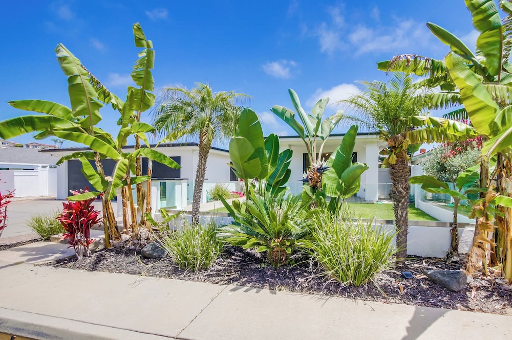 La Jolla Oasis