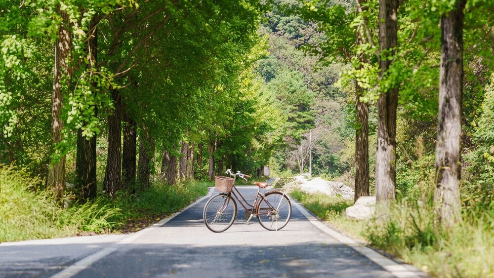 Gapyeong Pinenut Pension