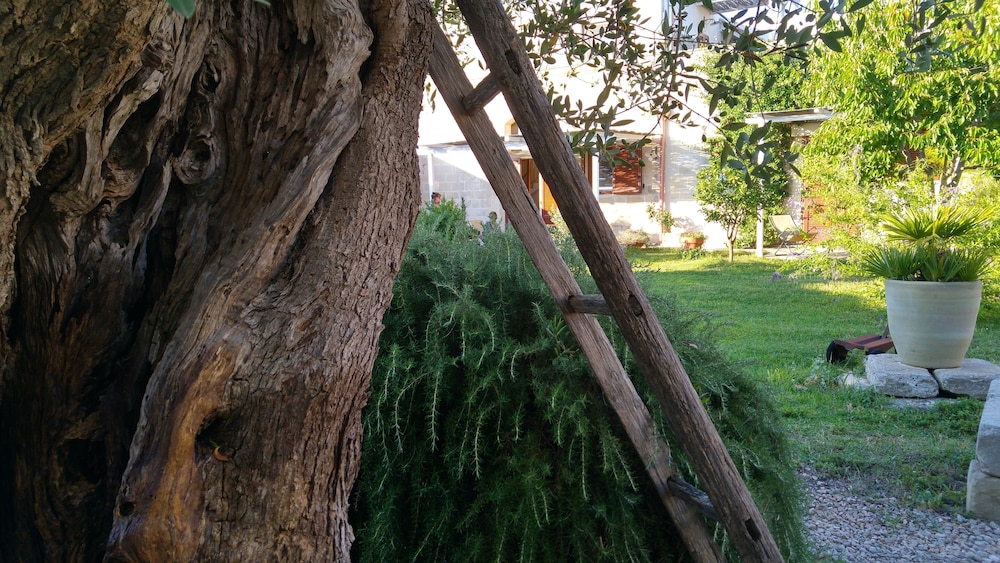B&B Masseria 12 Granai