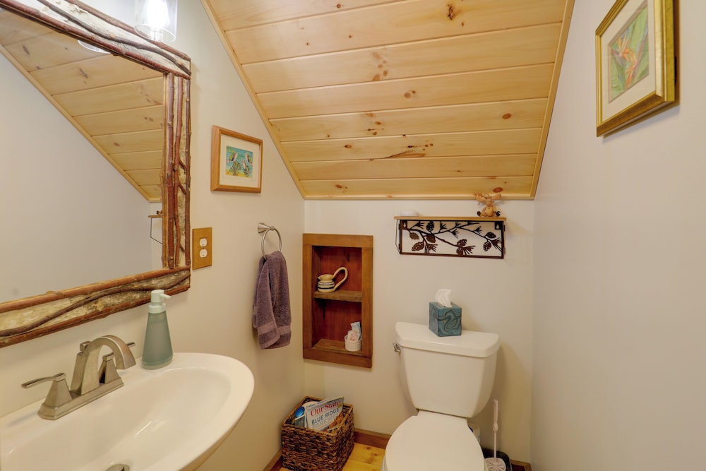 Hike, Ski & More: Blue Ridge Mountain Escape