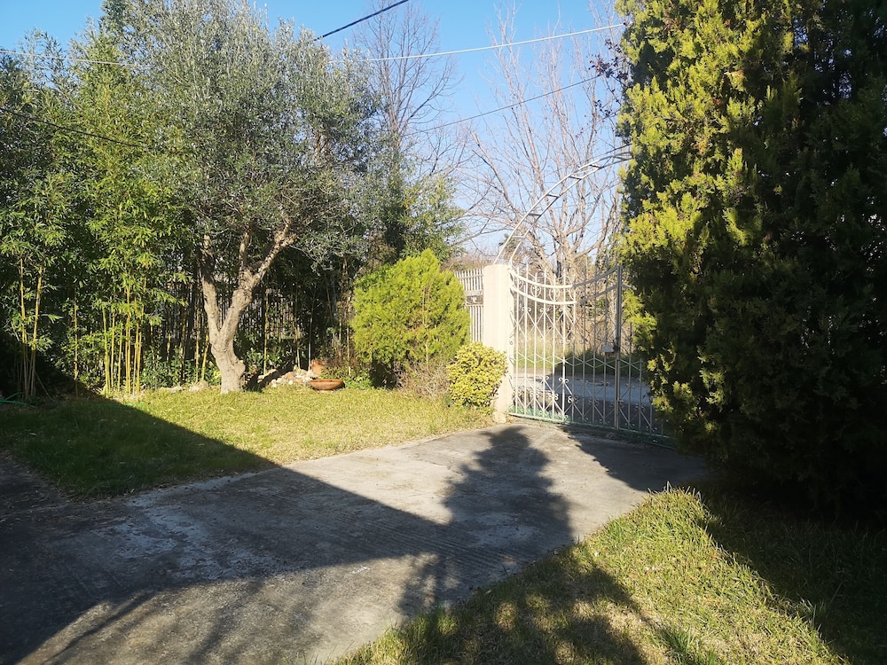 Photo 7