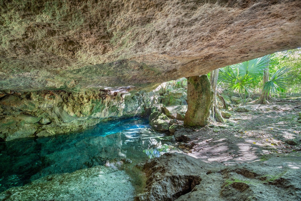 Attha Cenote Luxury Condo - Property Image 109