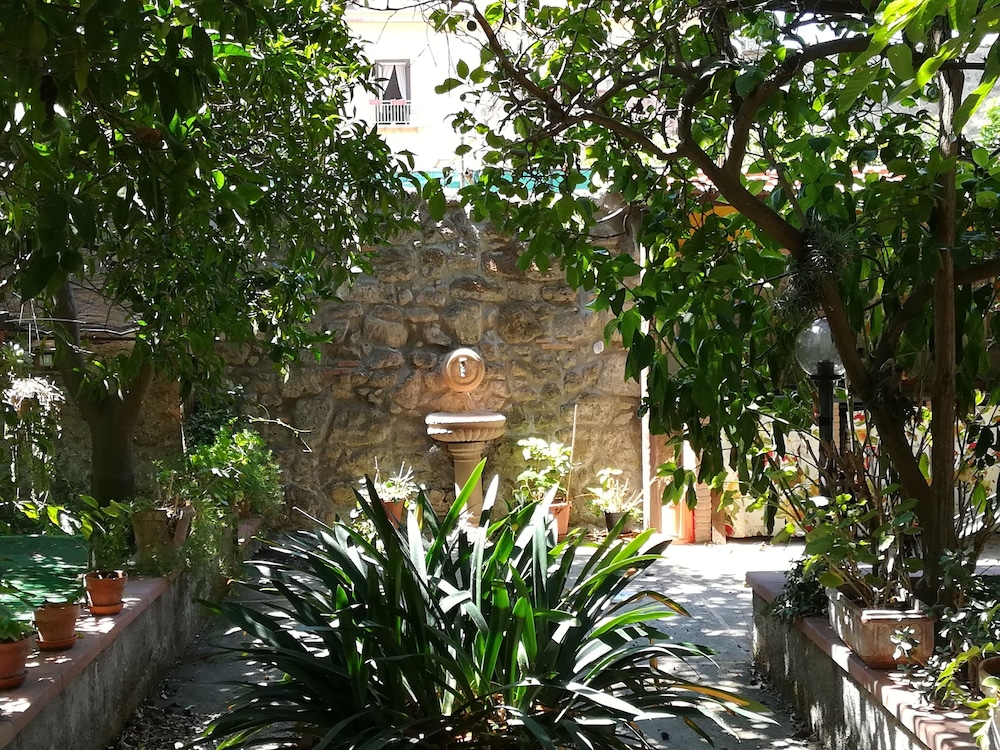 Photo 31