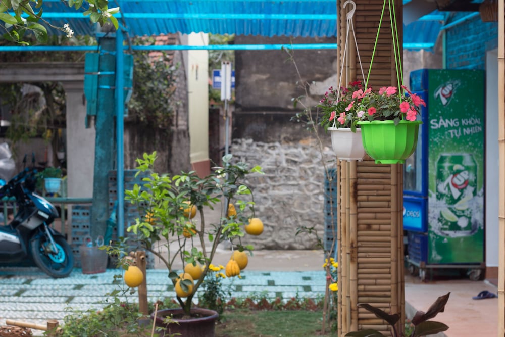 Tam Coc Moonlight Bungalow