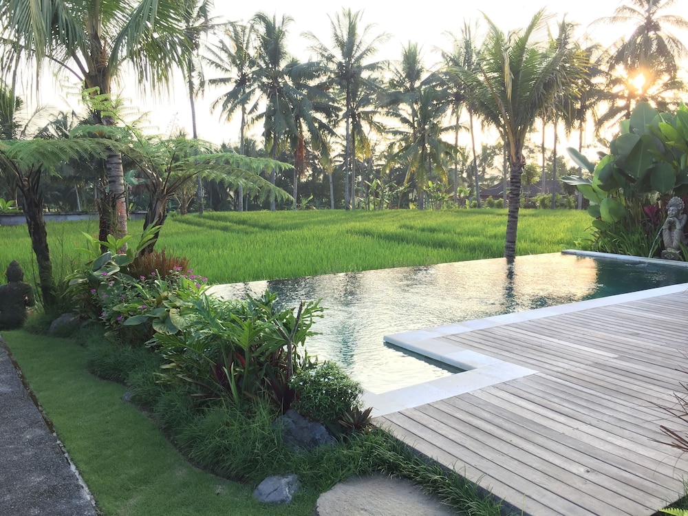 The Suris Ubud view 5