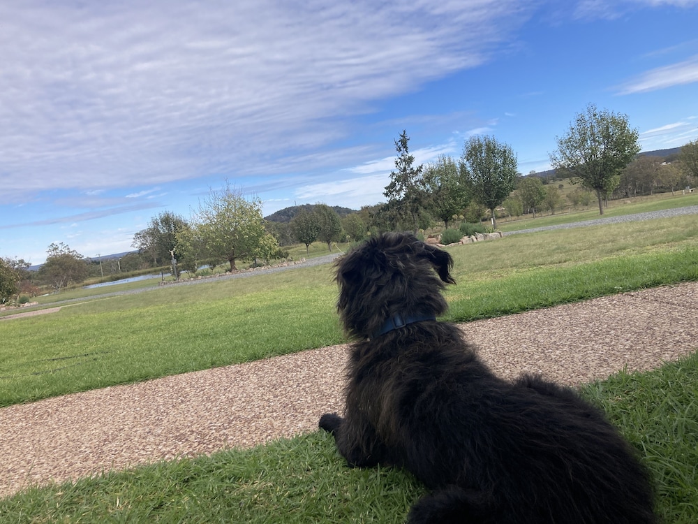 Stargazers Escape Stanthorpe