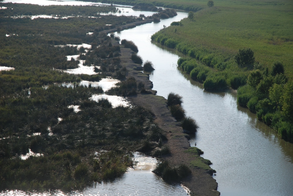 Le Mazet De Jean en Camargue