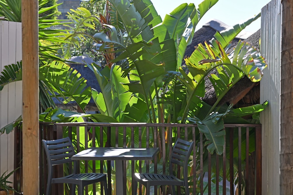 Charming Sea Point 1 Bed With Leafy Patio