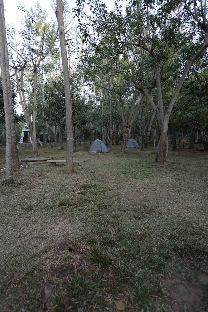 Photo 53