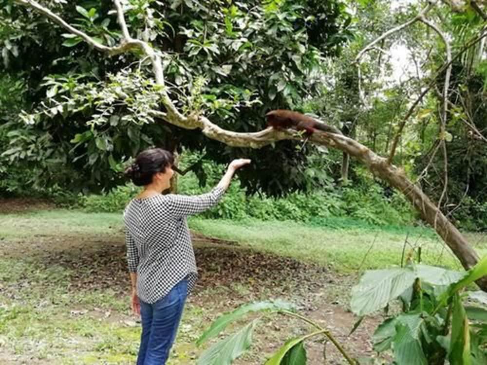Amazon Wonder Expeditions