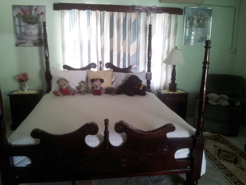 Suzette's Homestay view 2