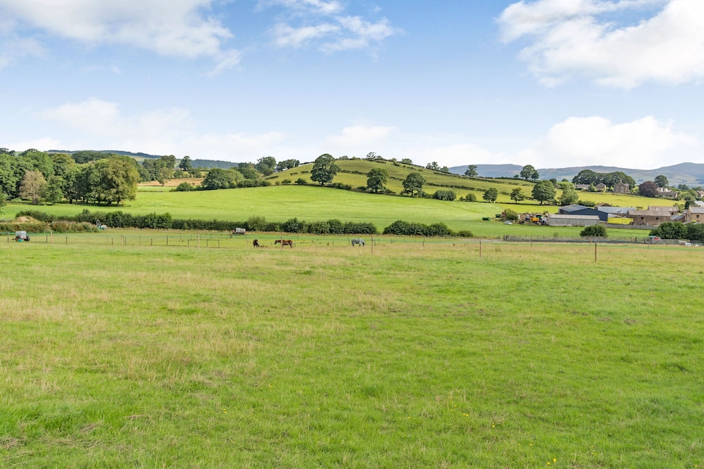 Ingleborough View