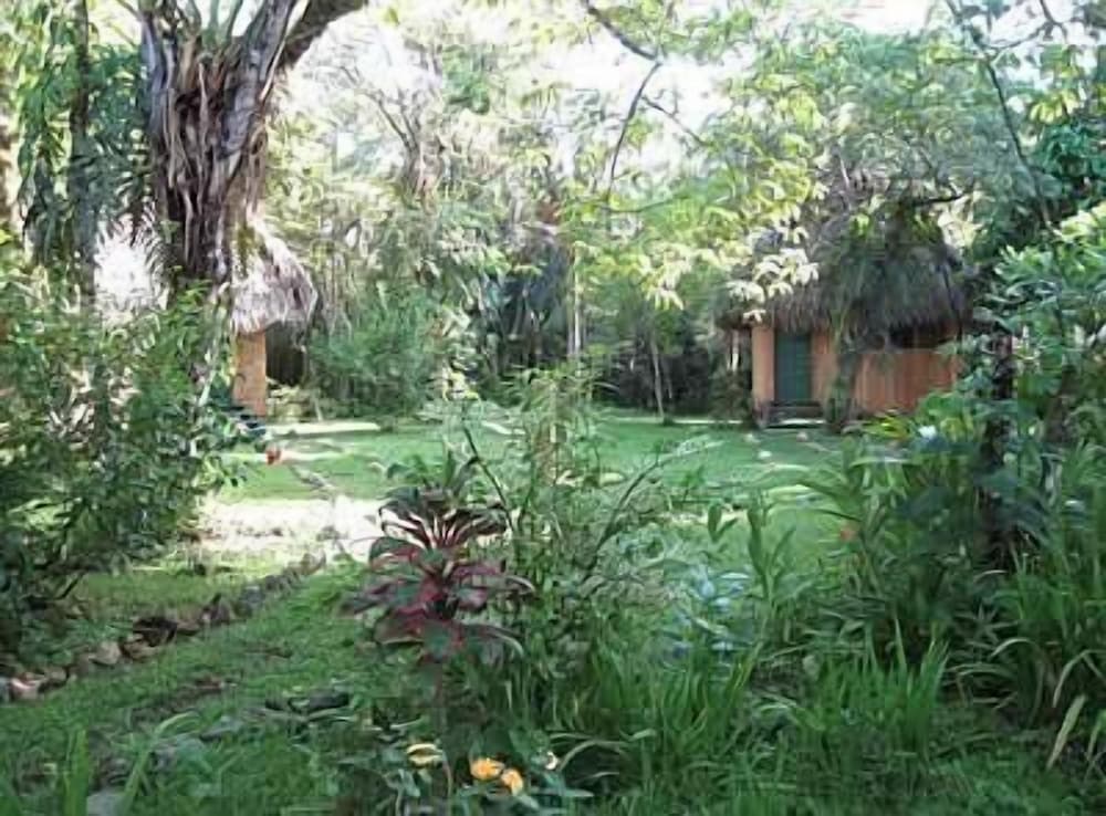 Photo 43