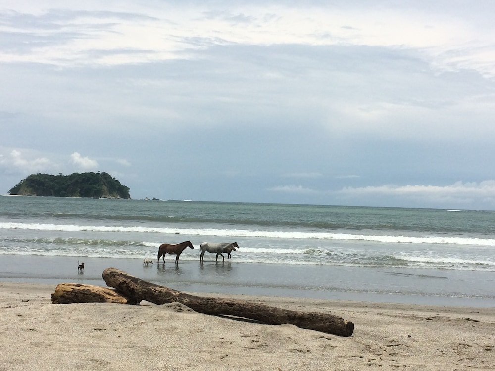 Guanacaste - Costa Rica Vacations - The Hideaway Hotel - Property Image 2