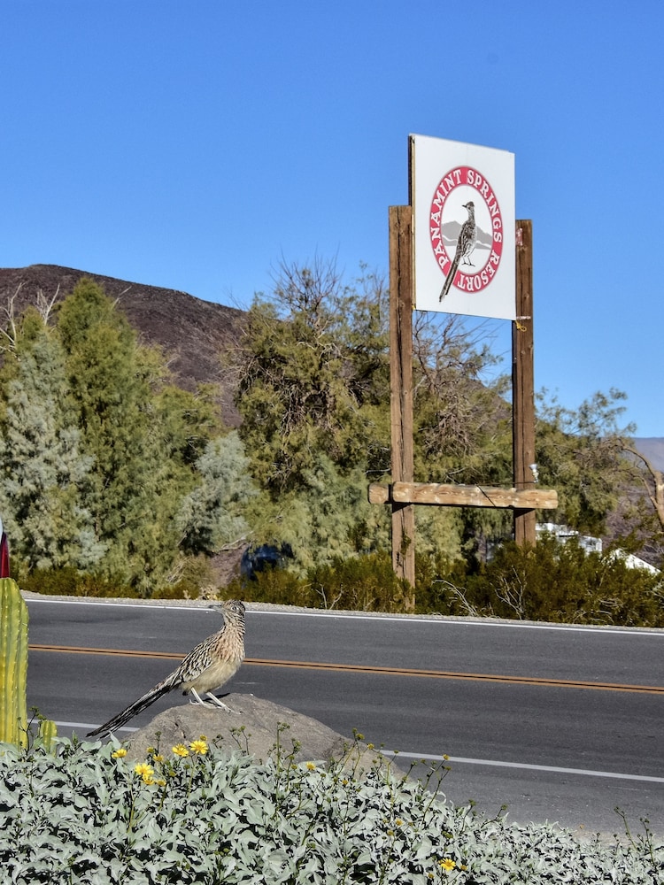 Panamint Springs Resort
