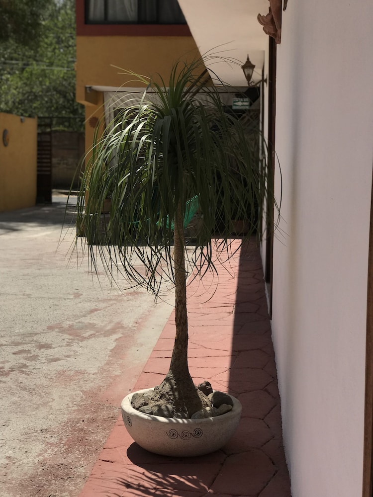 San Angel, photo 18