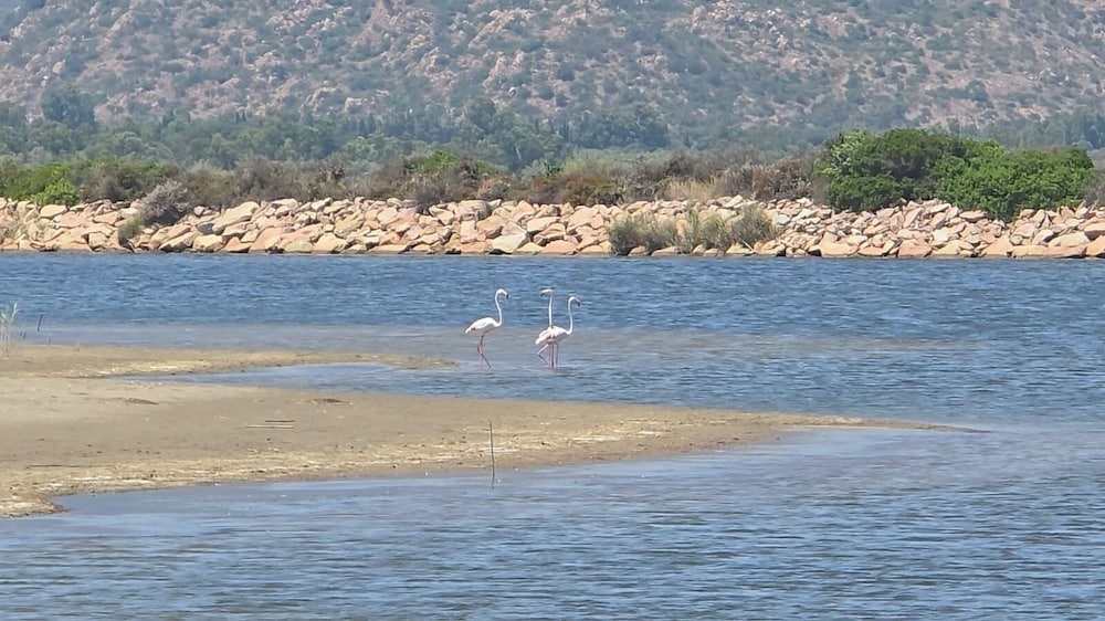 Tenuta Feraxi