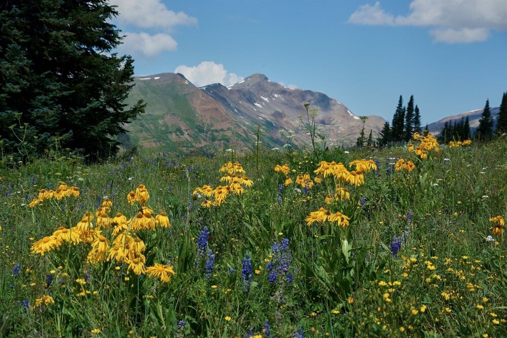 Beaver_creek_chalet_verve