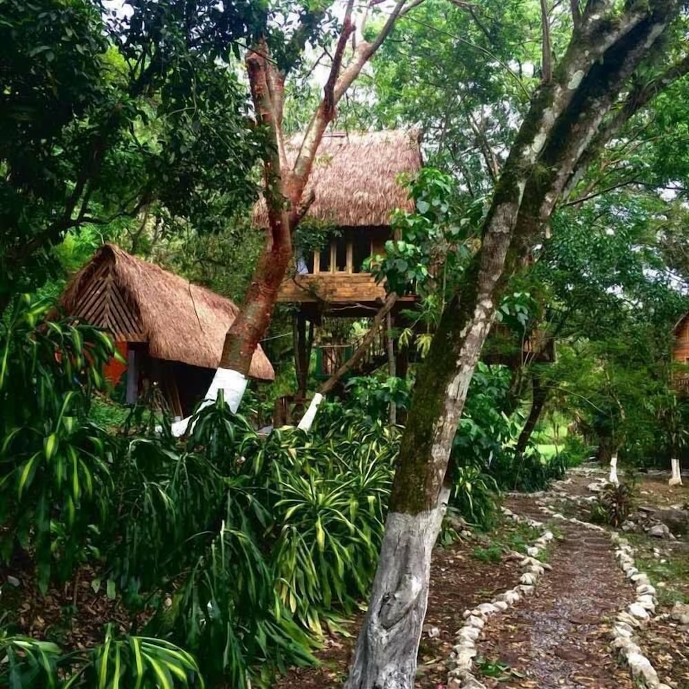 Photo 45