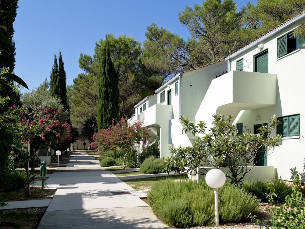 Apartments in Zaton With Pool