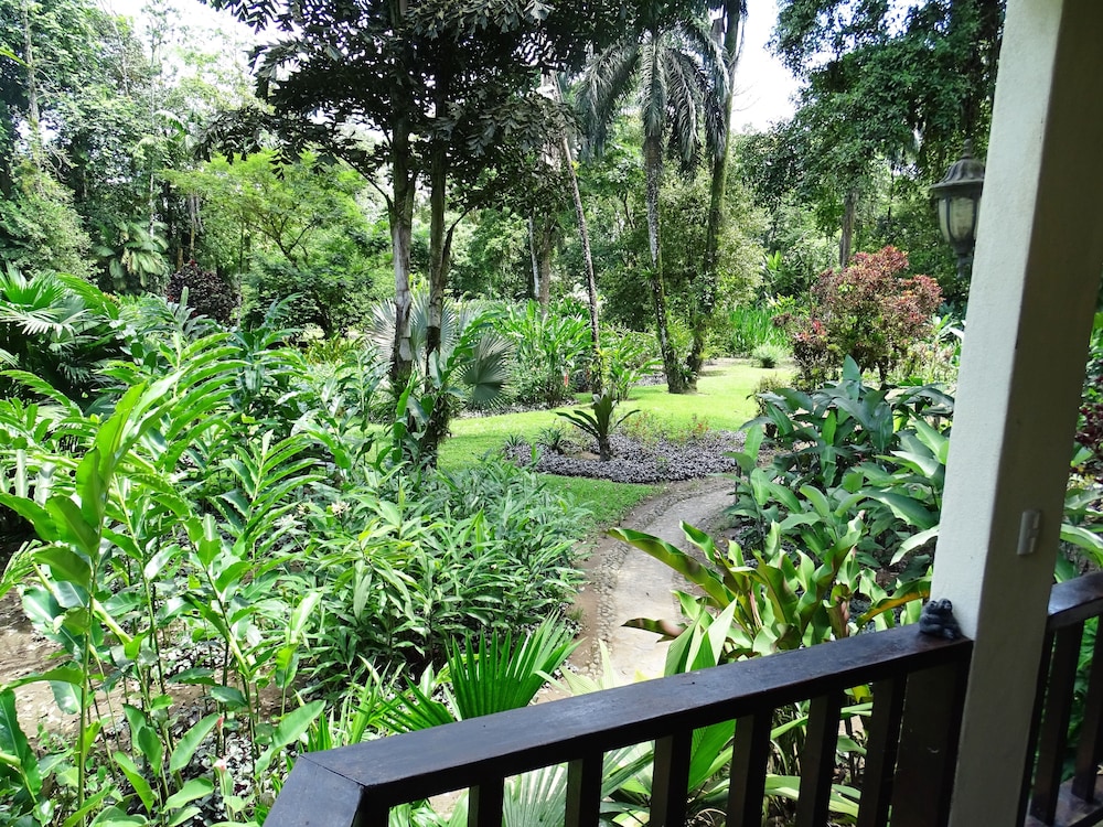 Heliconia Island