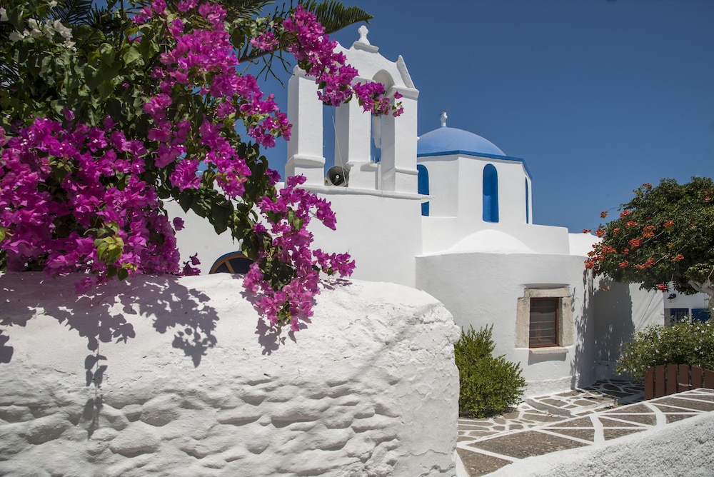 Hotel Senia Hotel - Image 1