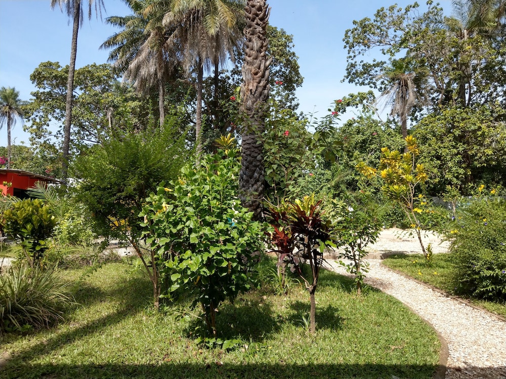 Photo 42