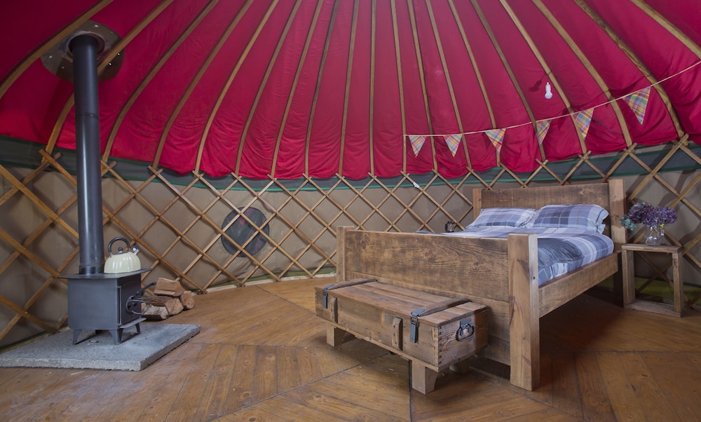 Charming Yurt in Kelburn Estate Near Largs view 3