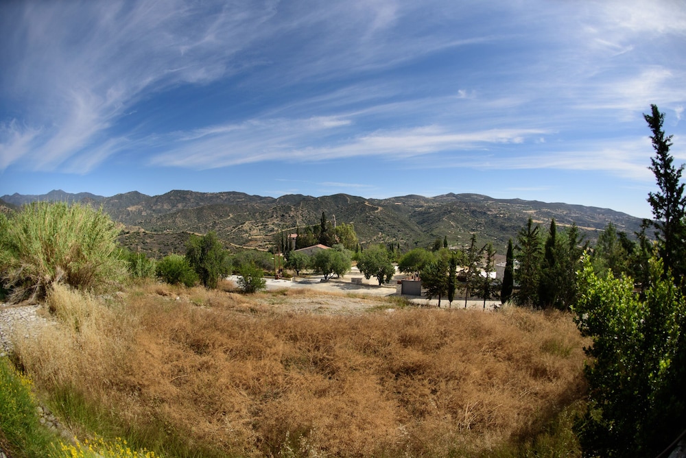Photo 48