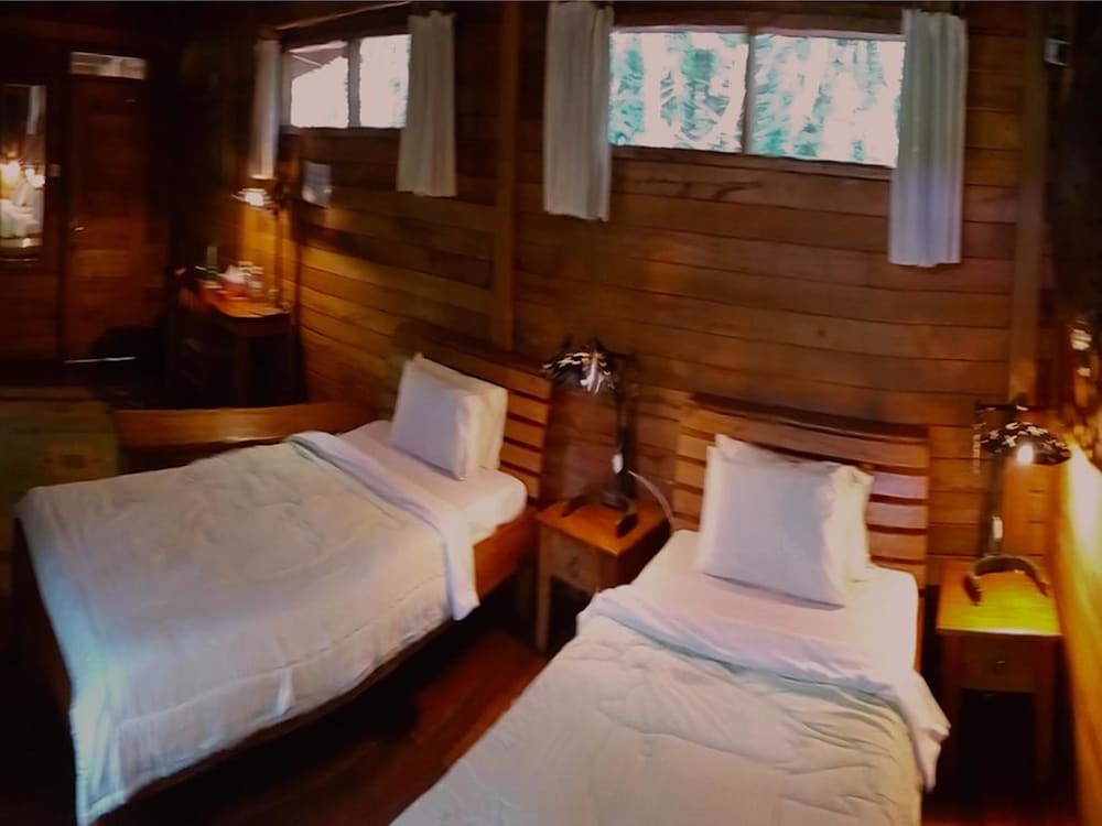 The Rainforest Geo Lodge view 2