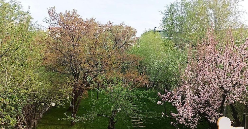 Photo 18