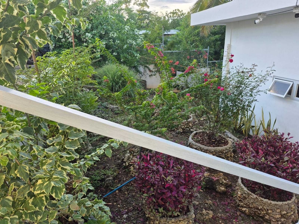 Tulang Diot View and Turtle Haven