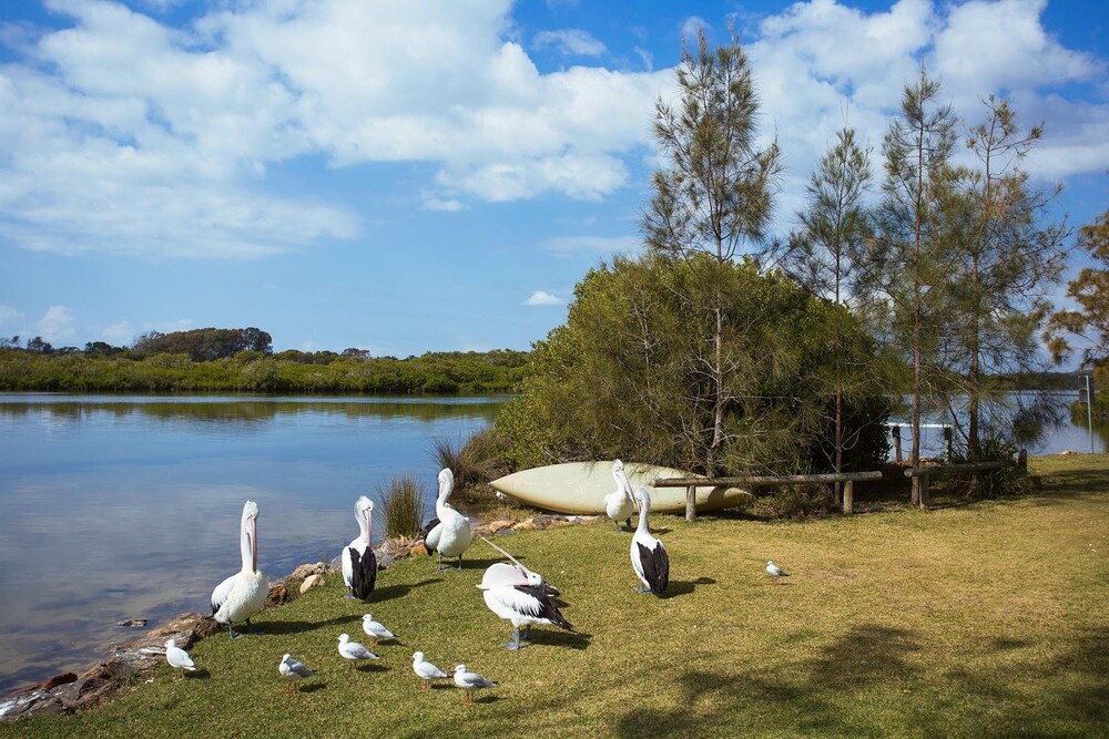 Stuarts Point Holiday Park