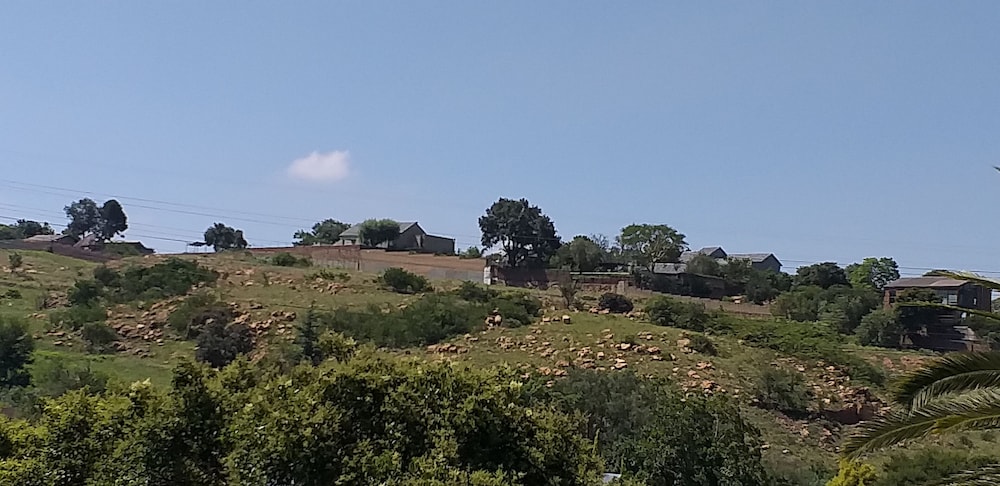 Agterplaas Guesthouse B&B