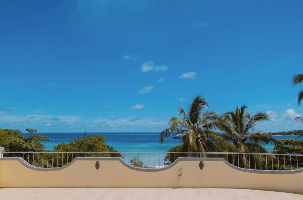 Photo 51