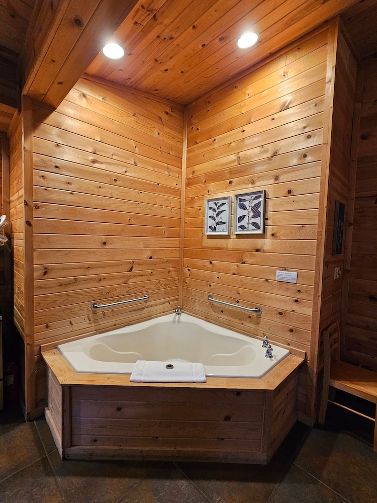 Honey Bear Haven Suite 3