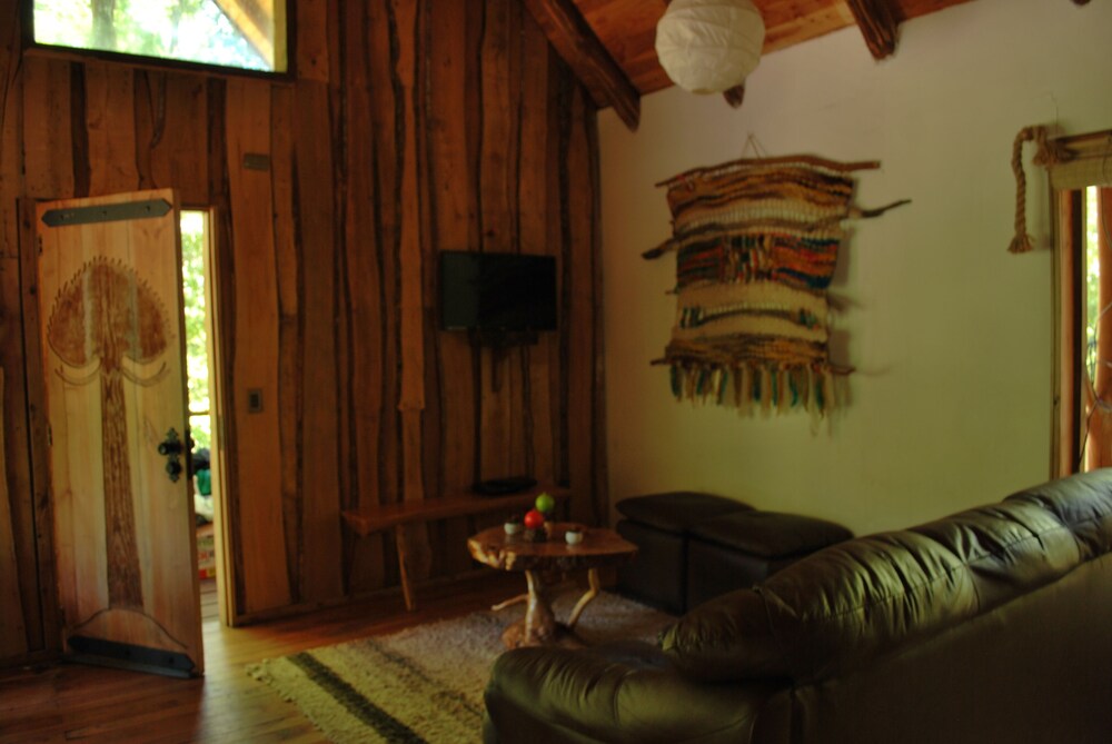 Casa Alto Palguin Pucón