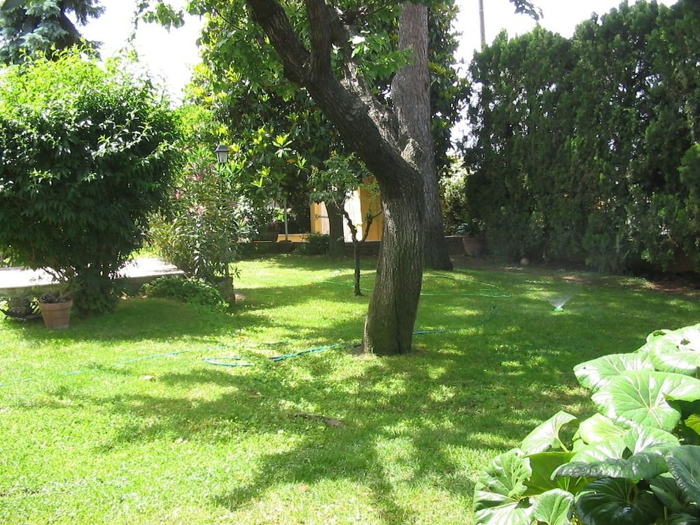 Photo 34