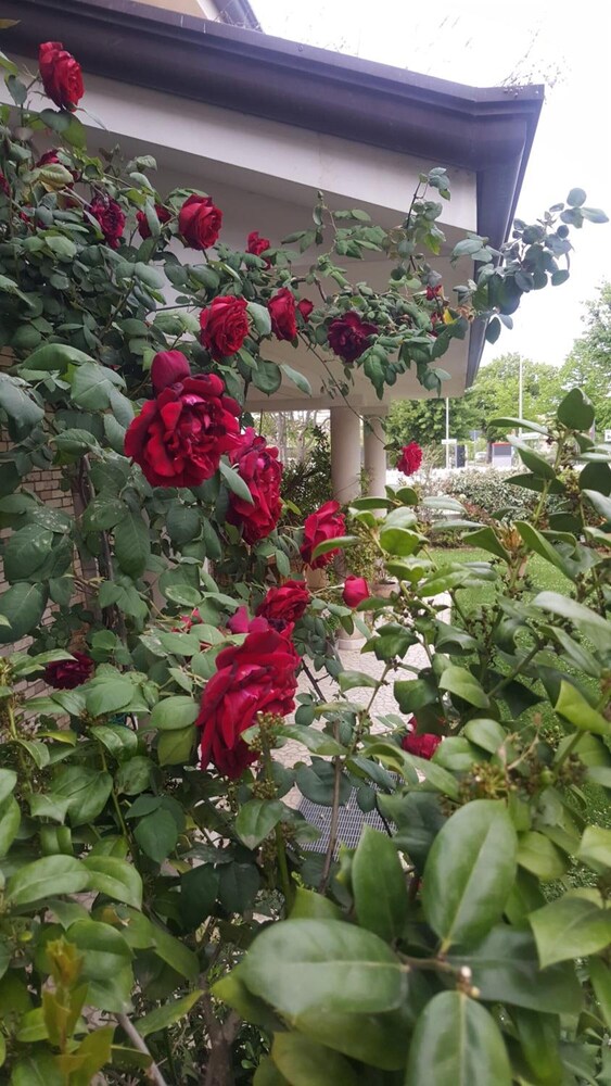 Bed and Breakfast Villa Gioia, photo 42