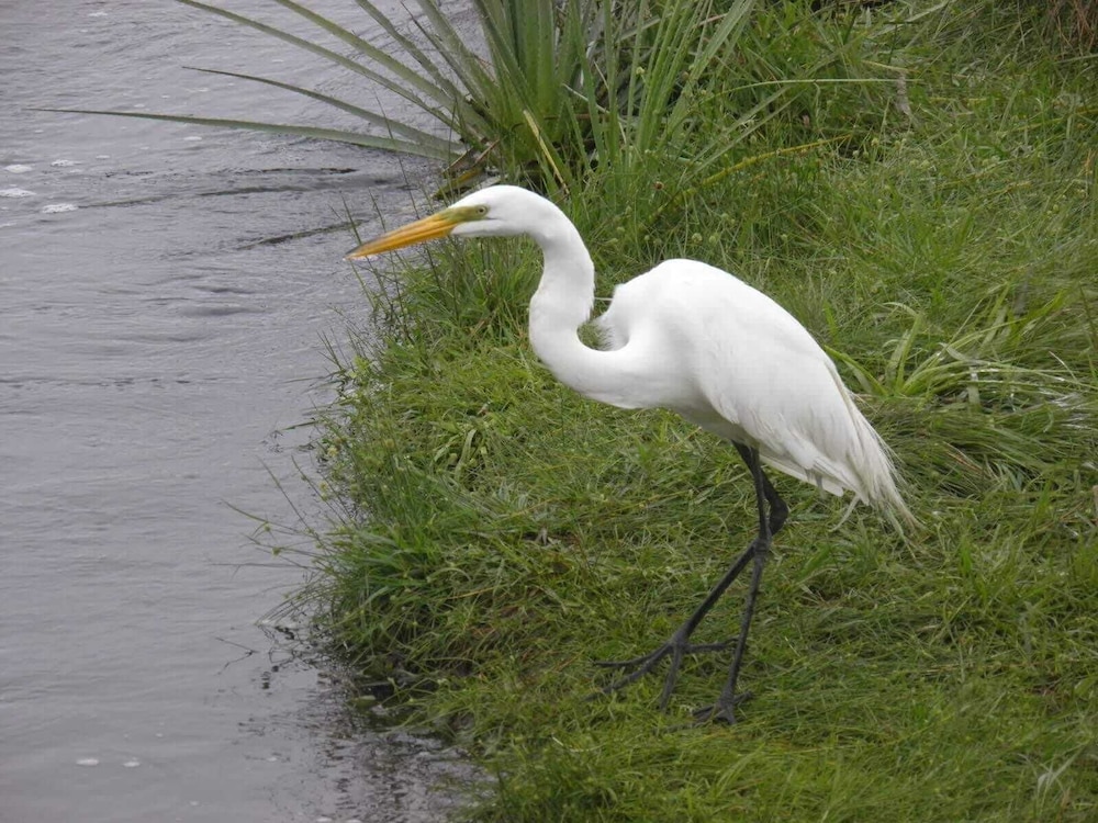 Wild Wetlands Lodge