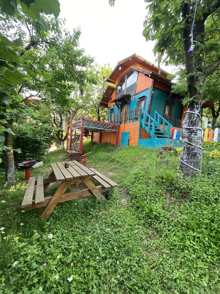Photo 23