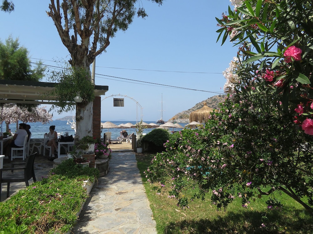 Photo 8