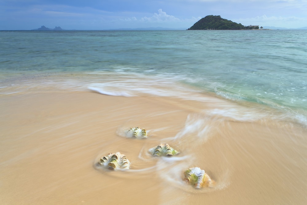 NoaNoa Island