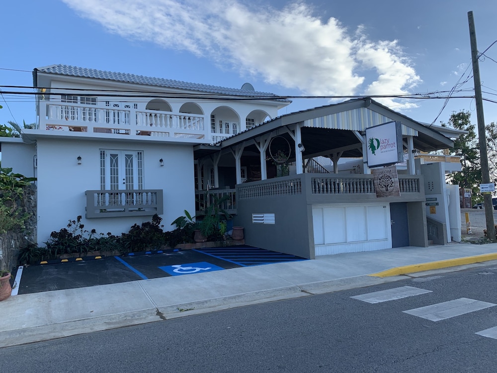 Lazy Parrot Inn - Property Image 21