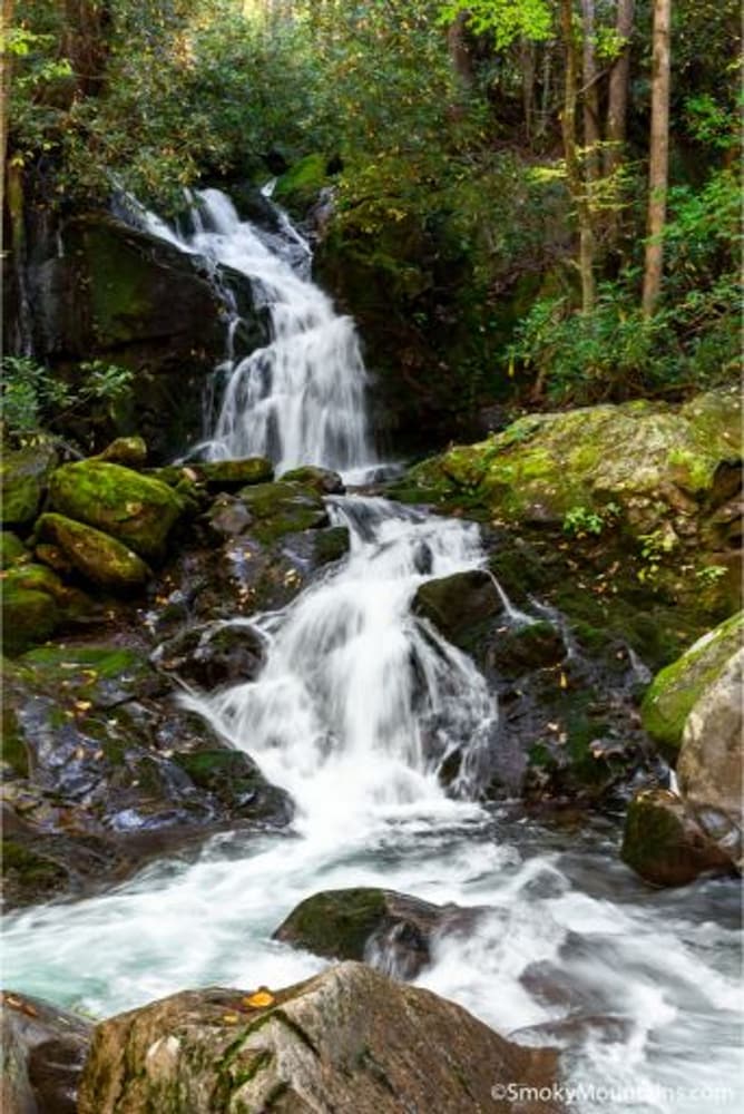 Photo 33